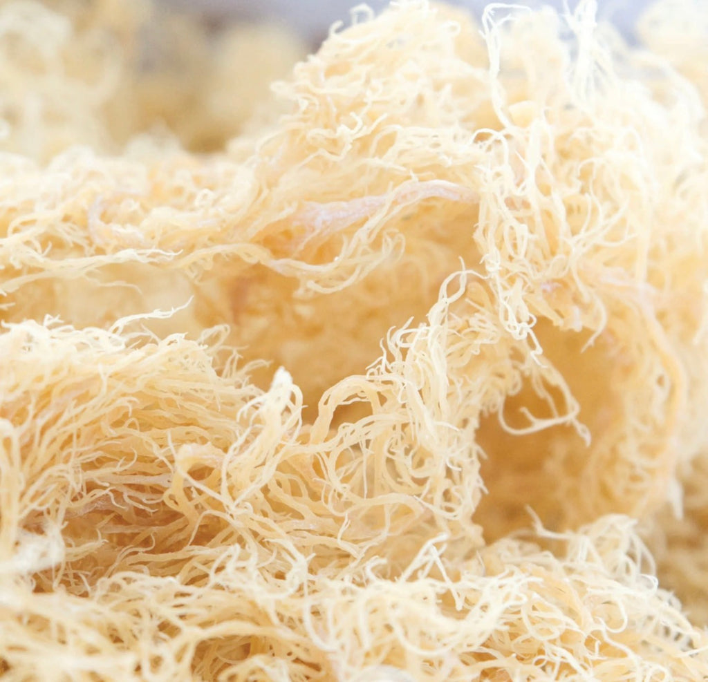 Pure sea moss